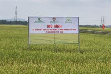 Hội nông dân tỉnh Bắc Giang hỗ trợ nông dân tiếp cận, ứng dụng tiến bộ KHKT mới về giống và kỹ thuật chăm sóc lúa nhằm nâng cao năng suất, chất lượng và hiệu quả kinh tế