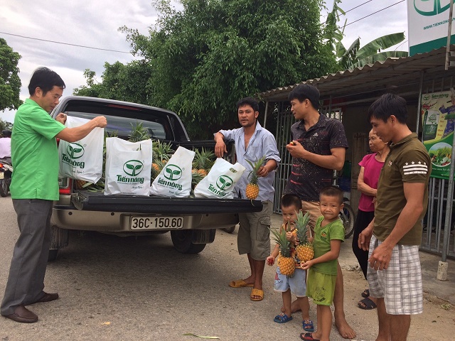 Tiến Nông hỗ trợ nông dân giải cứu Dứa tại Thạch Thành – Thanh Hóa1