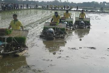 Huyện Yên Định náo nức ngày xuống đồng 